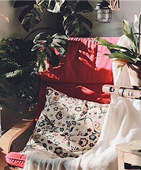 ������е�����