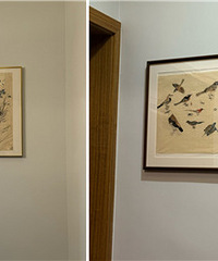 ��ǽ��Ч��