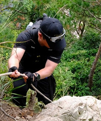 �Ҷ��󽷽���ɽ����Ҳ��