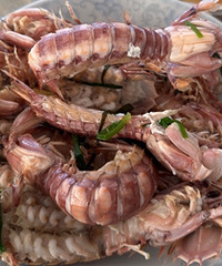 80һ���Ȼ���󣬵�ÿһ�������и�