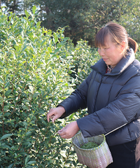 800Ԫ/��������ʡ����У�̨��һ�ϰ壺��һ����ͱ�Ԥ����