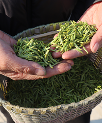 800Ԫ/��������ʡ����У�̨��һ�ϰ壺��һ����ͱ�Ԥ����