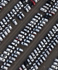 �ղ���������������