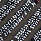 �ղ���������������