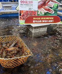 С��Ϻ�����ʡ����У��۸�Ҳ����