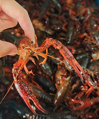 С��Ϻ�����ʡ����У��۸�Ҳ����