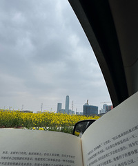 һ������õĹ⾰