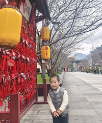 ����������ֺ���