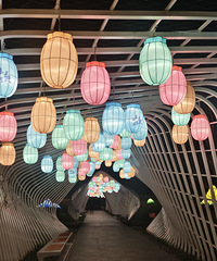 [����]���ƽ��˶಻������֣����ҽ�Ұ��԰�Ļ��Ʋ���