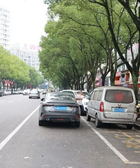 ���������ࡰΥͣ�����ƣ�