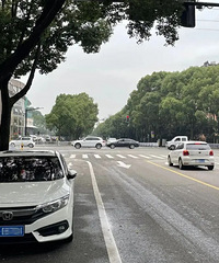 ���������ࡰΥͣ�����ƣ�