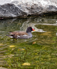 ����22ʱ45����ʽ���룡�������ڷ���