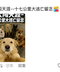 7ֻ������͵�������ٹ�·����顰������17����ɹ����ң�