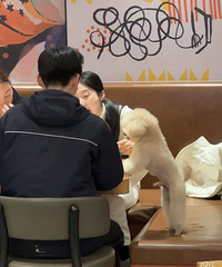 ���Ӷ�������