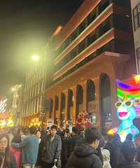 �����ϳǿ���