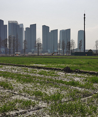 �����й滮��