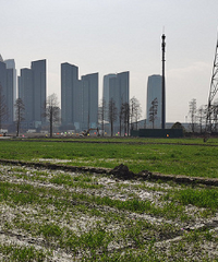 �ĺ�����Ա���ô��Ƭ����ͷ�Ǹ����