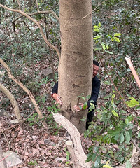 ̨���·��֡���Ҫ��������