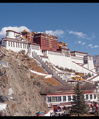 ѩ����ߵĹ���