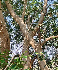 ̨���·��֡���Ҫ��������