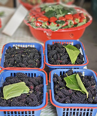 ����25Ԫ�������ʡ����У�̨���ϰ壺���ز����������У��۸�����