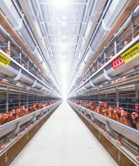 ������ ���߲㹫Ԣ����·�Ž��������ӱ��������𵰼�����