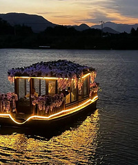 ��Ͷ��9520.15��Ԫ���ƻ��ڽ���9��ȫ�濢��