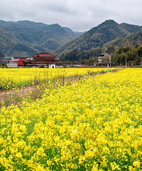 ��̶ˮ���ψ��컨�ݡ��Ͳ˻��͡�����ˮ�桱��ʯͷ