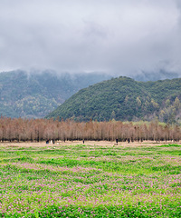 ��̶ˮ���ψ��컨�ݡ��Ͳ˻��͡�����ˮ�桱��ʯͷ