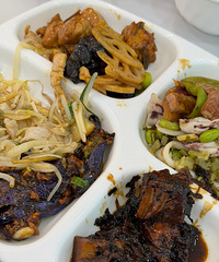 �������ʲô�����ؿ�ͣ��˾�20��๻����