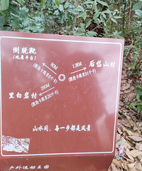 ���������ߵ�¿�У������������Ȼ����