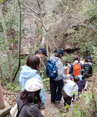 ���������ߵ�¿�У������������Ȼ����