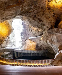 ̨�����������һ��ҵ����ͣ���ţ�