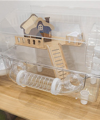 ӭ��С��������׼��