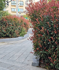 ��̳��ֲ����˸��ӻ��ߡ��Է���������������