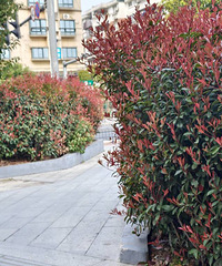 ��̳��ֲ����˸��ӻ��ߡ��Է���������������