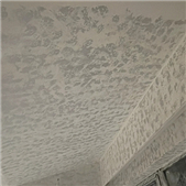 ������ˢ������