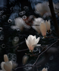 ������е�����