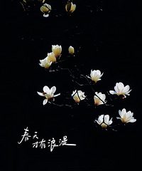 ������������������ɽ��������������