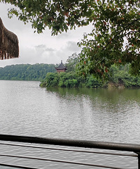 ���� ��ͥ��������¥�����������������Ļ��ż���