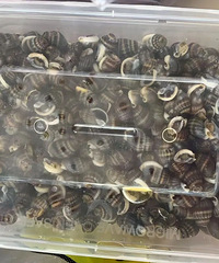 �������ѣ���ԣ�̨��3��͵����ץ