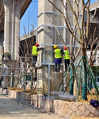 Ԥ��5���깤��̨�ݽ�����һ����԰