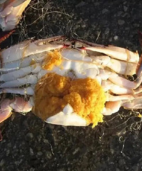 4��1����ȫ���ֹ��̨���˰�������ʣ�9���ټ�����