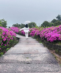 86δ��Ů���������ڽ����ϰ࣬INFJĦ�ɣ��Һ��ദ�׹�ͨ��