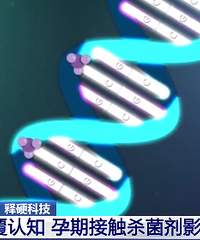 ���ڽӴ�ɱ����Ӱ�����20��