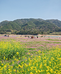 Ϫ��ˮ��컨�ݴ�