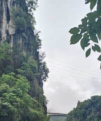 �Ͷ��ǹ���ɭ�ֹ�԰