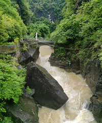 �Ͷ��ǹ���ɭ�ֹ�԰