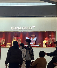 ������ϡ���ɽ������̨������æ�Ų���Ͷ�ʣ�������ҹ�µ����Σ�