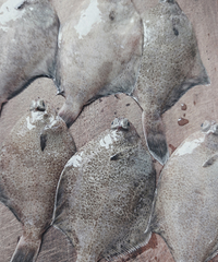 5Ԫһ��Ķ౦��